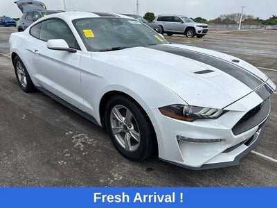 2023 Ford Mustang EcoBoost