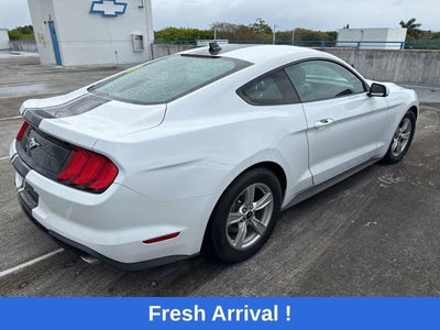 2023 Ford Mustang EcoBoost