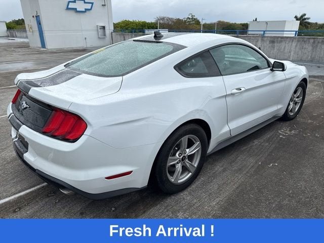 2023 Ford Mustang EcoBoost