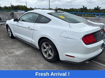 2023 Ford Mustang EcoBoost