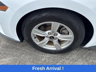 2023 Ford Mustang EcoBoost