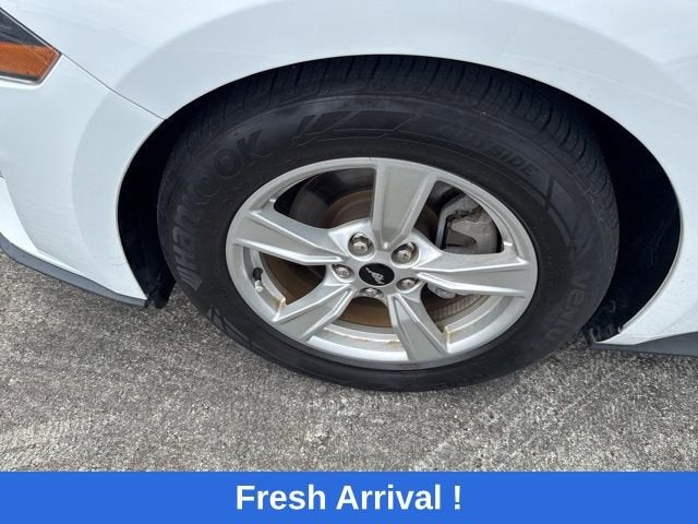 2023 Ford Mustang EcoBoost