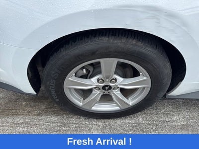 2023 Ford Mustang EcoBoost