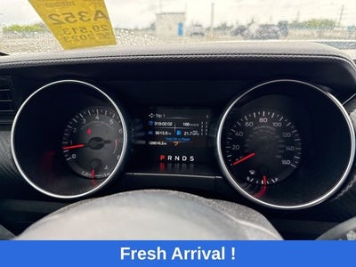 2023 Ford Mustang EcoBoost