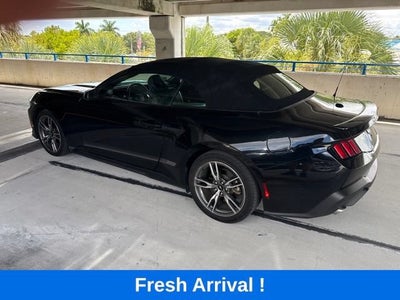 2024 Ford Mustang EcoBoost
