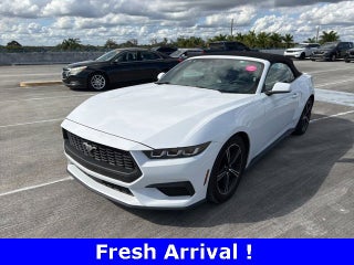 2024 Ford Mustang EcoBoost