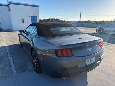2024 Ford Mustang EcoBoost