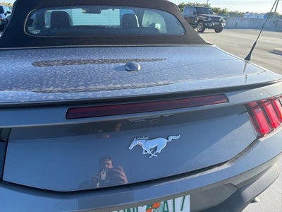 2024 Ford Mustang EcoBoost