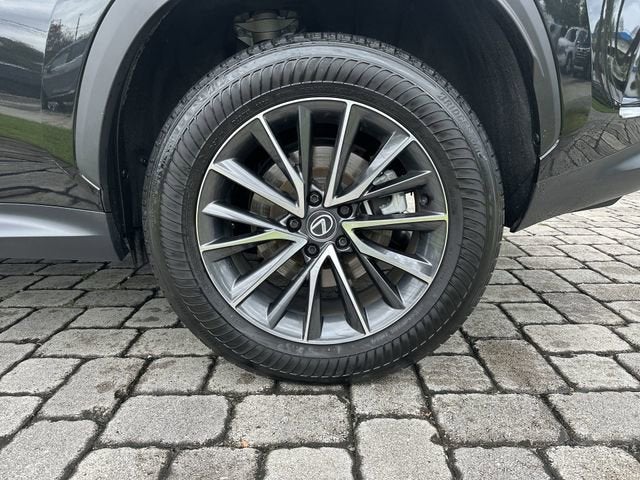 2024 Lexus NX NX 250