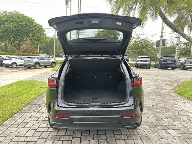 2024 Lexus NX NX 250