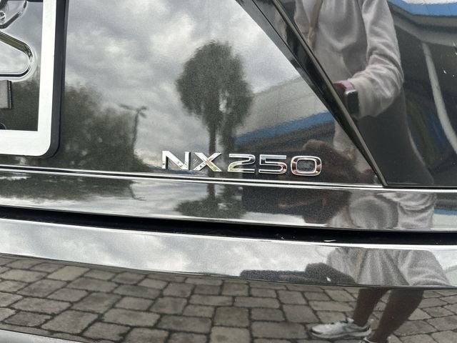 2024 Lexus NX NX 250