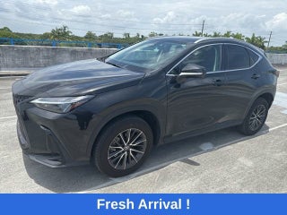 2024 Lexus NX NX 250
