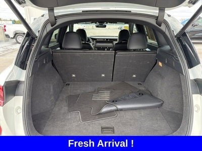 2023 INFINITI QX50 AUTOGRAPH