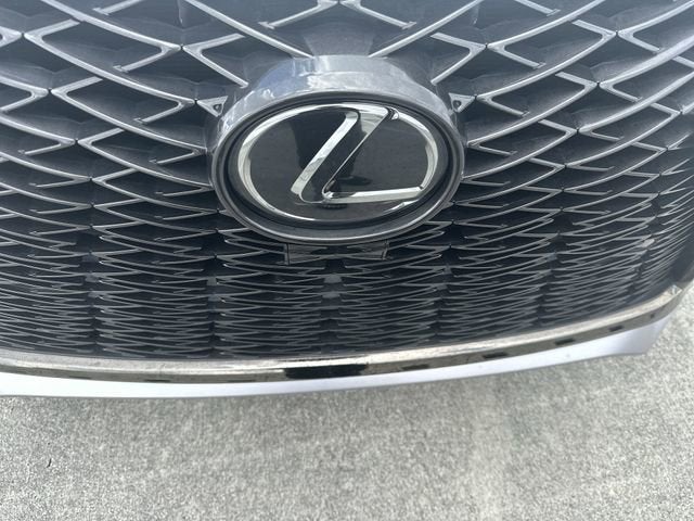 2020 Lexus NX NX 300 F SPORT