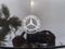 2020 Mercedes-Benz C-Class C 300