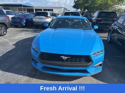 2024 Ford Mustang EcoBoost