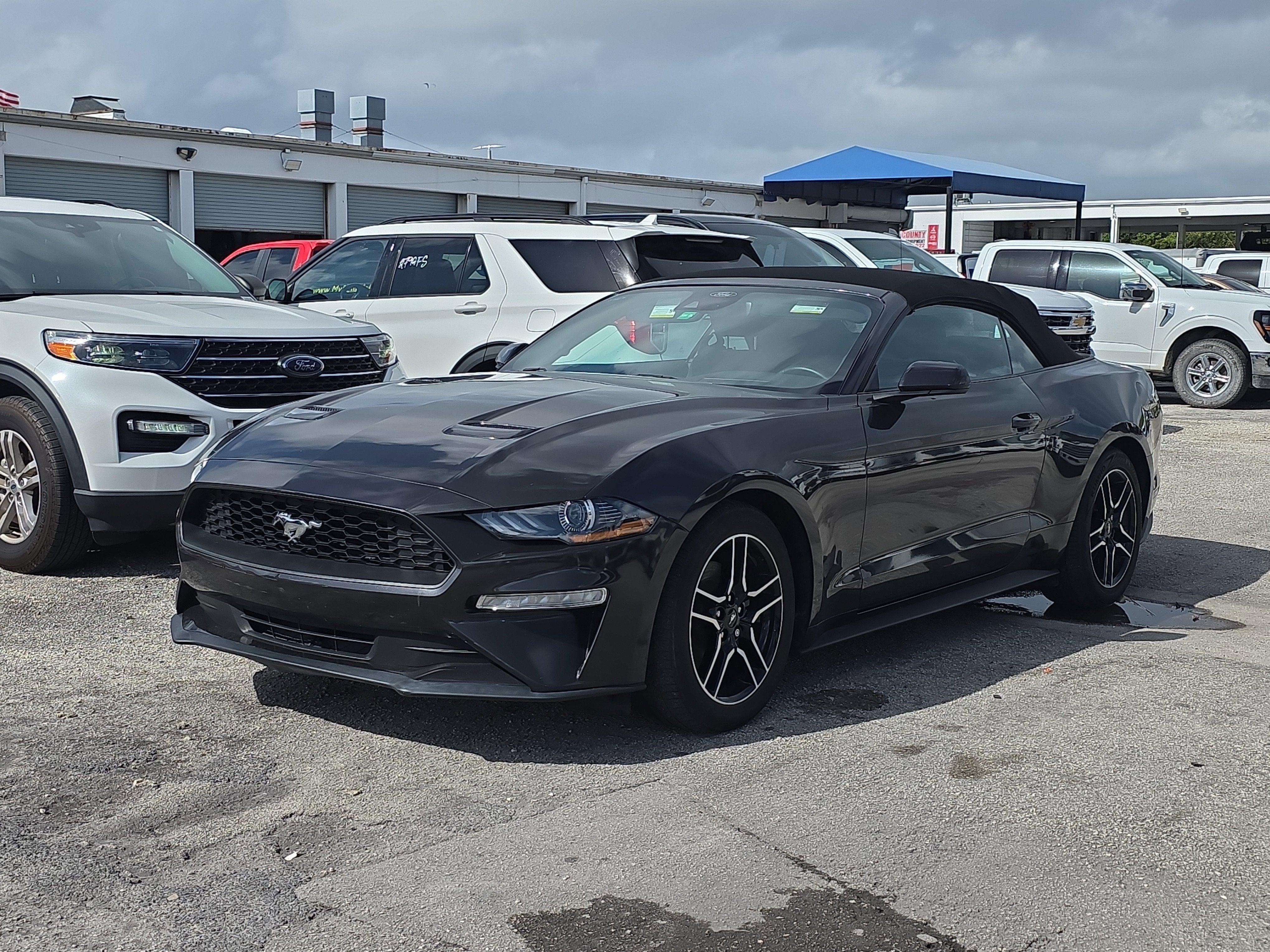 2023 Ford Mustang EcoBoost