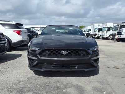 2023 Ford Mustang EcoBoost