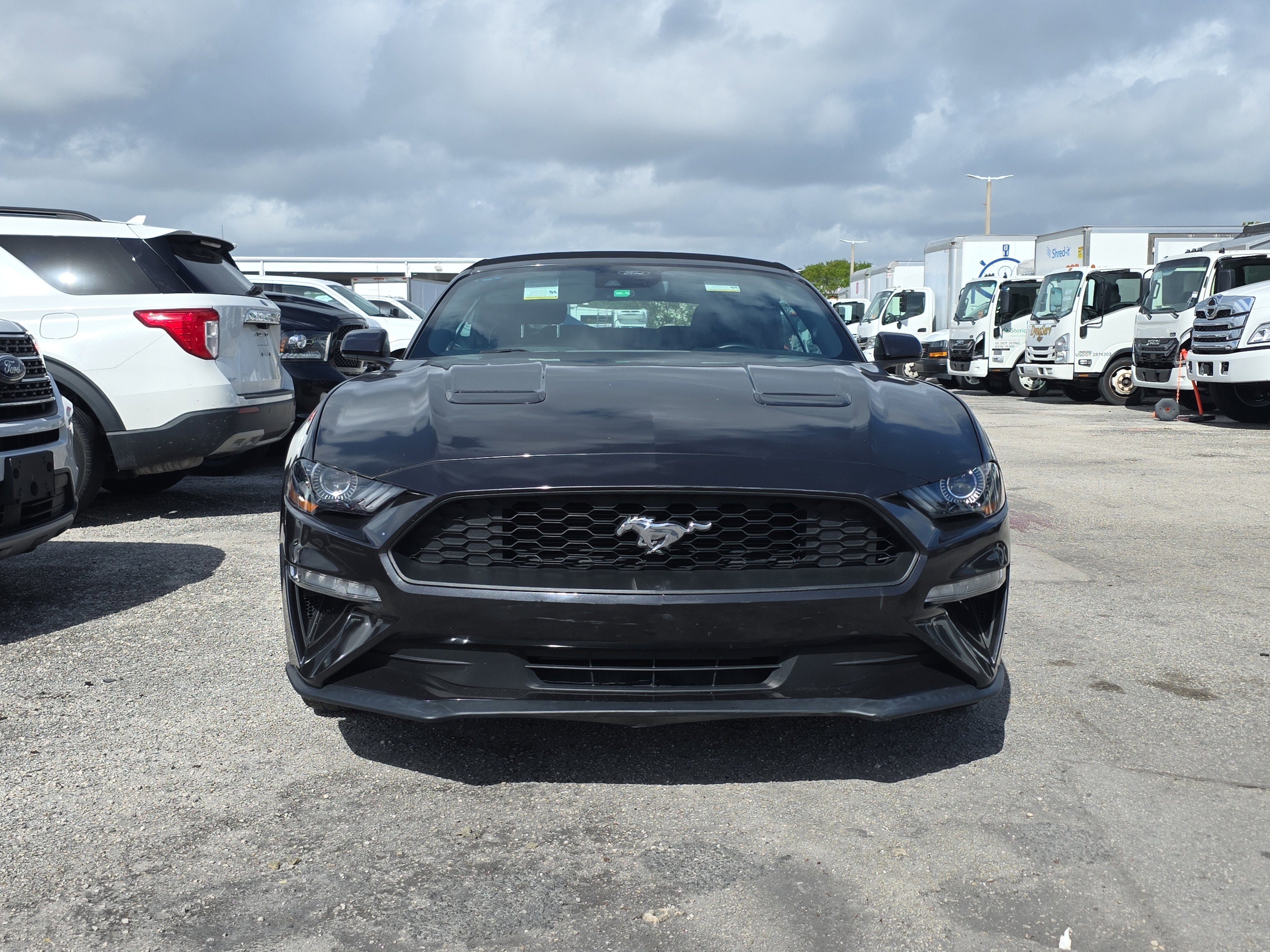 2023 Ford Mustang EcoBoost