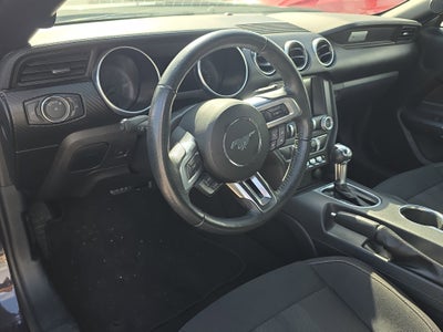 2023 Ford Mustang EcoBoost