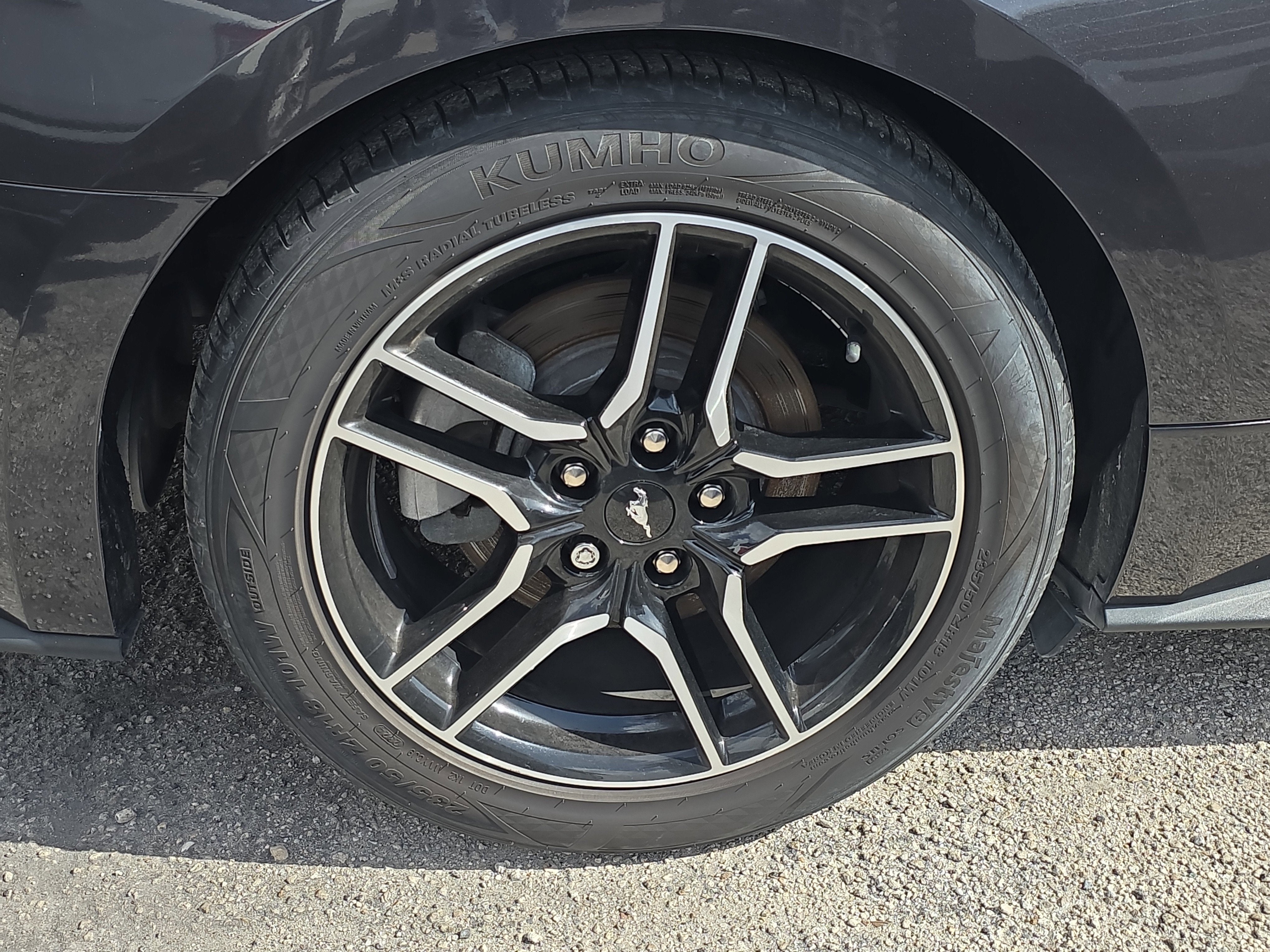 2023 Ford Mustang EcoBoost