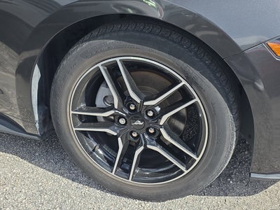 2023 Ford Mustang EcoBoost