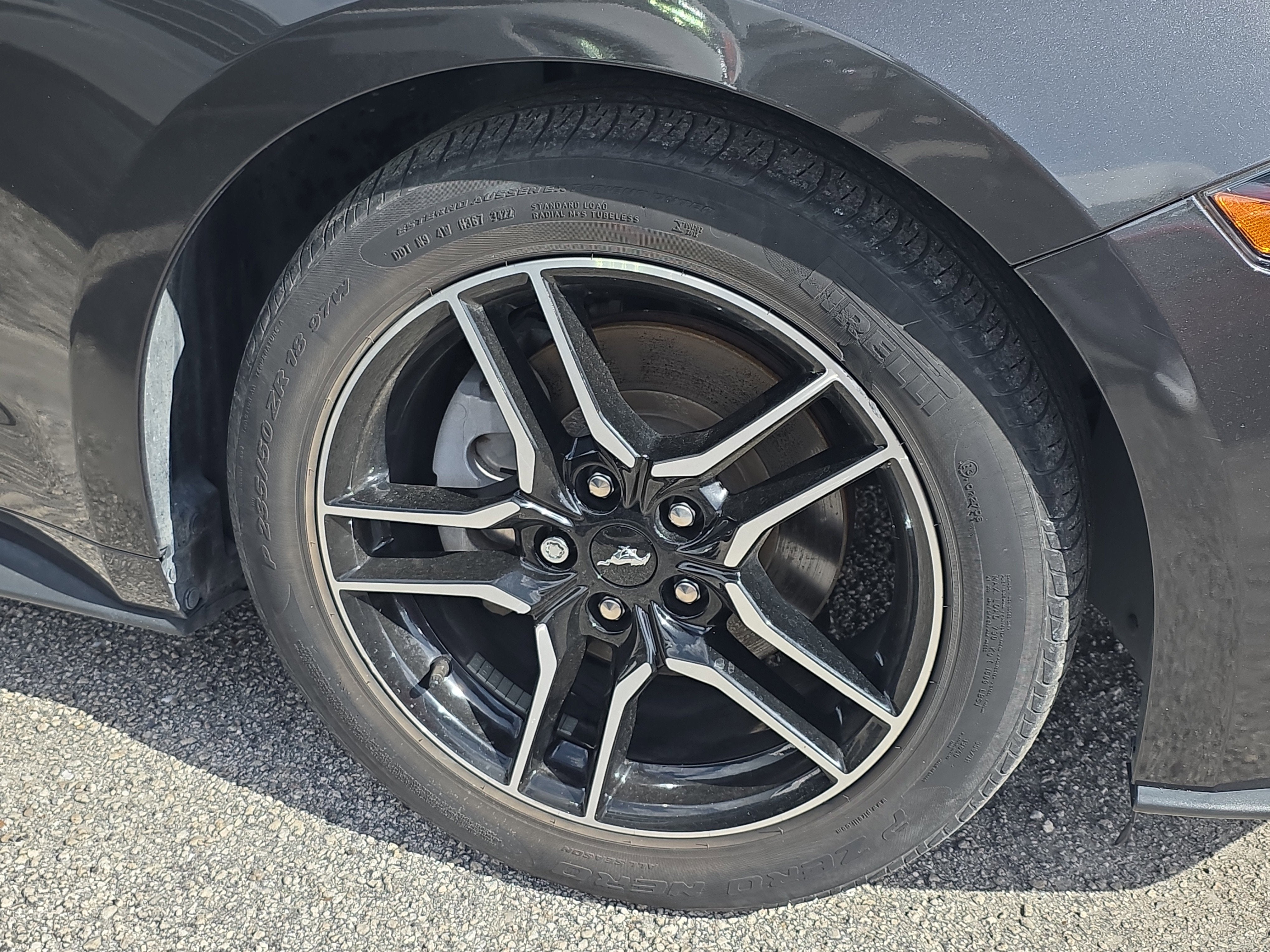 2023 Ford Mustang EcoBoost