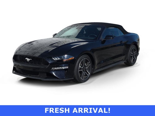 2022 Ford Mustang EcoBoost
