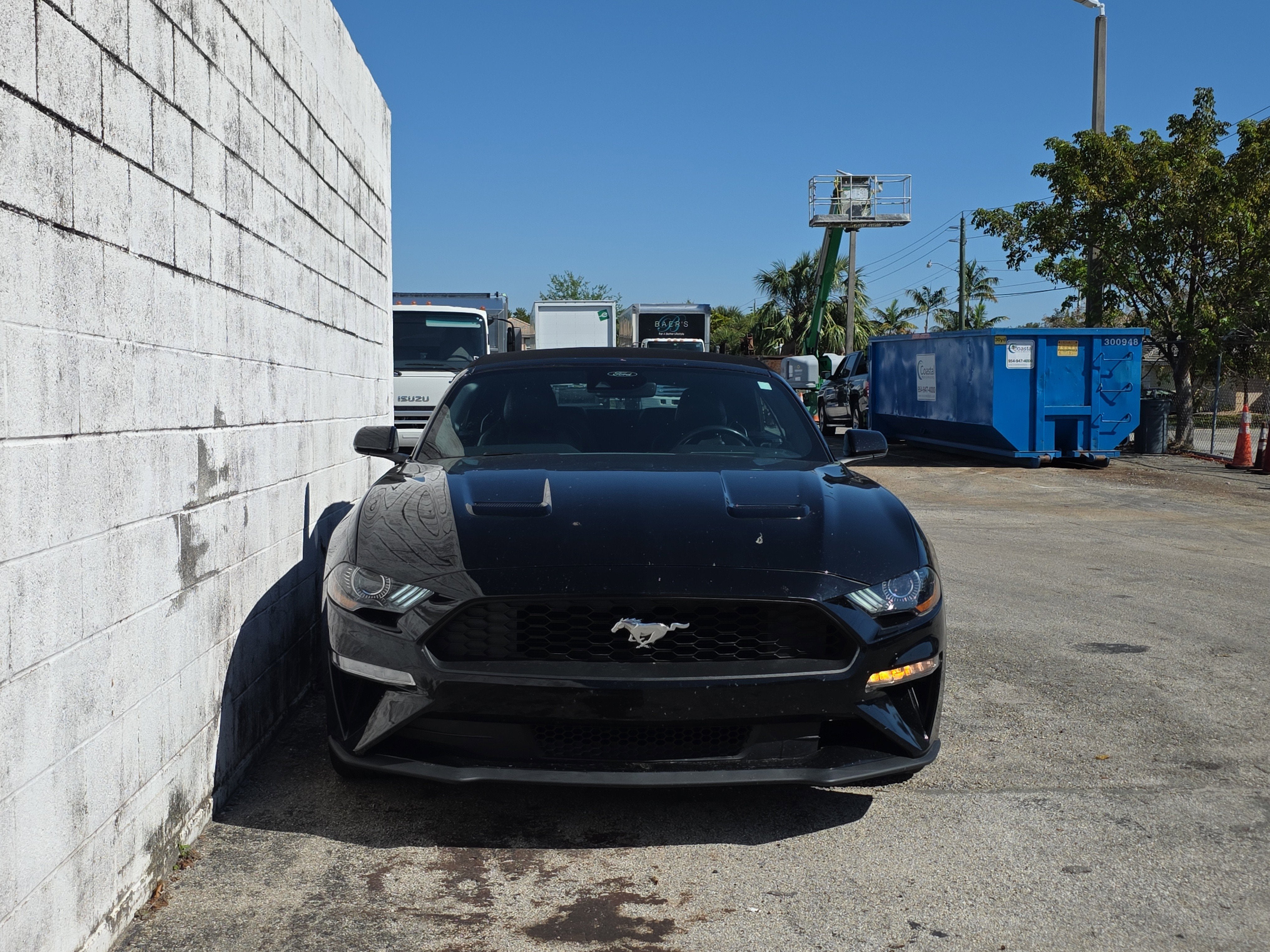 2022 Ford Mustang EcoBoost
