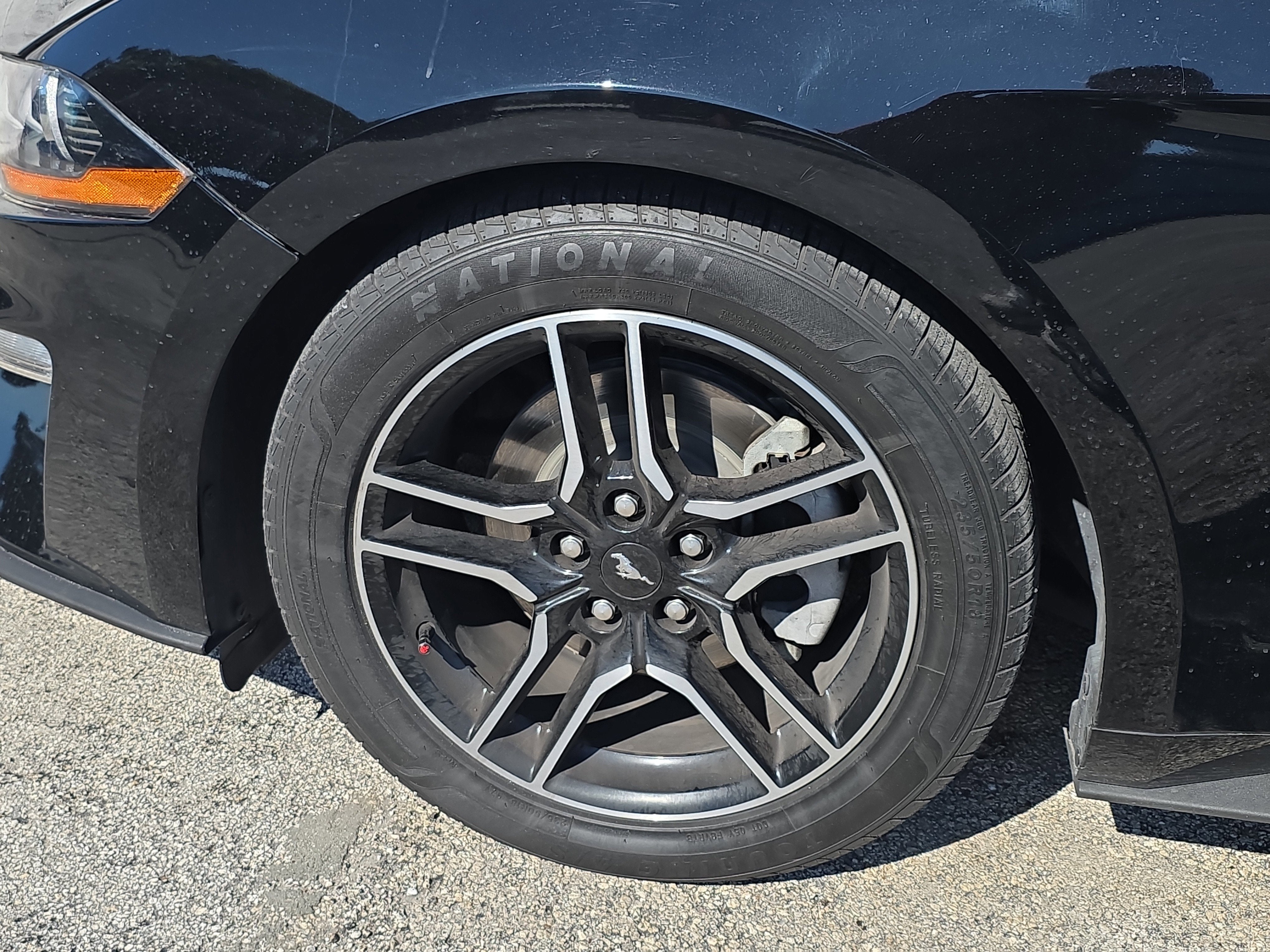 2022 Ford Mustang EcoBoost