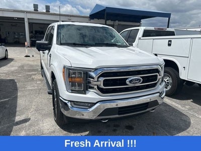 2021 Ford F-150 XL