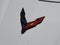 2020 Chevrolet Corvette Stingray 3LT