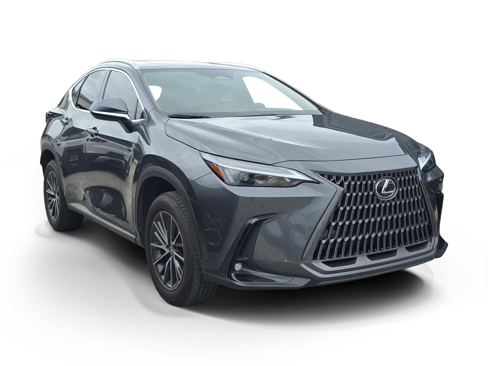 2025 Lexus NX NX 250 Premium