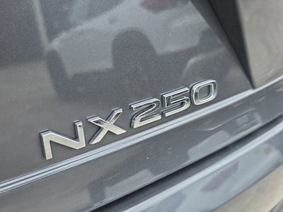 2025 Lexus NX NX 250 Premium