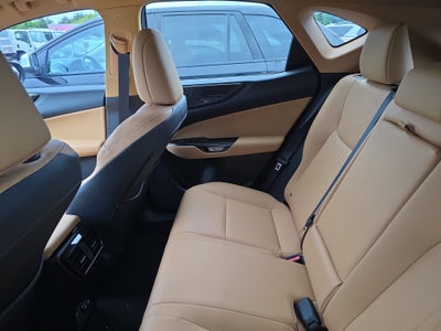 2025 Lexus NX NX 250 Premium