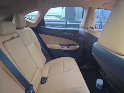 2025 Lexus NX NX 250 Premium