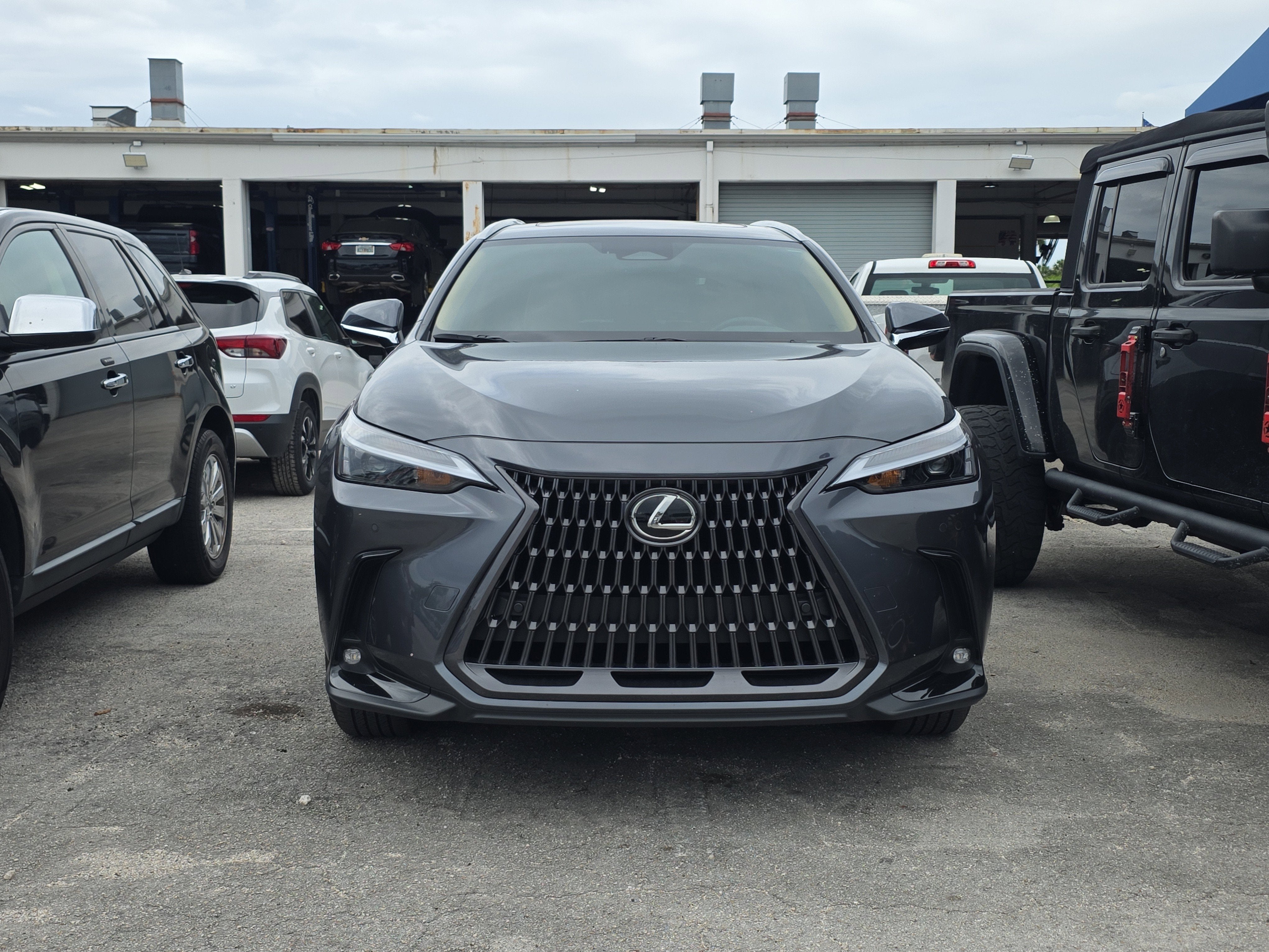 2025 Lexus NX NX 250 Premium