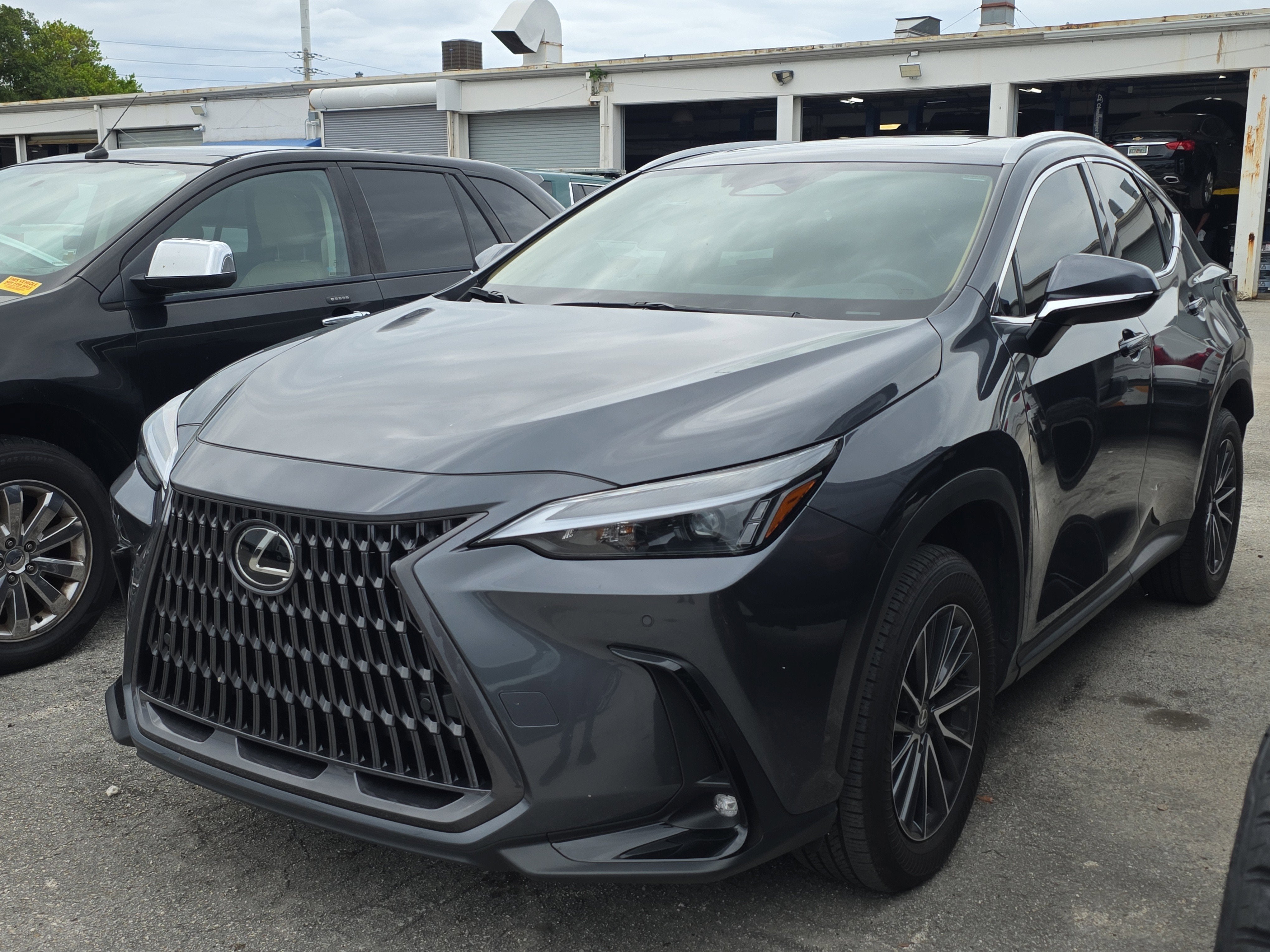 2025 Lexus NX NX 250 Premium
